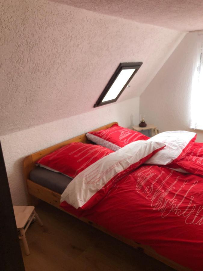 Ferienhaus Zentral & Gruen Leipzig Extérieur photo